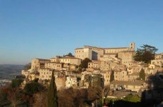 Todi