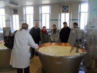 Parmigiano-Reggiano tour with Reggio Lingua